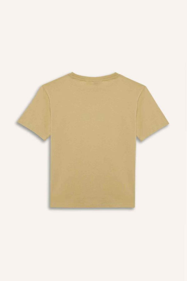 Resim Defacto Erkek Çocuk Kısa Kol T-shirt E3105A8YL515