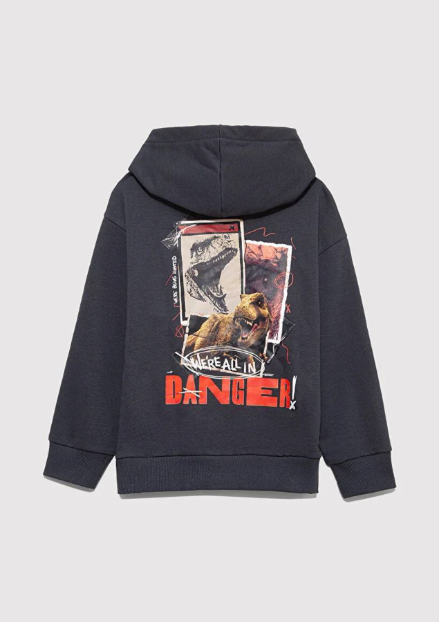 Resim Mavi Jurassic Park Erkek Çocuk Sweat M6S10135-70087