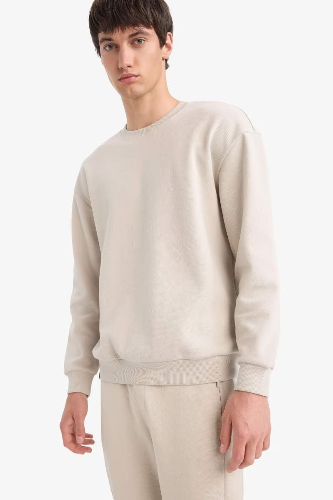 Resim Defacto Erkek  Sweat E1519AX/BG766