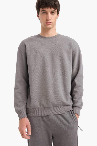 Resim Defacto Erkek  Sweat E1519AX/GR206