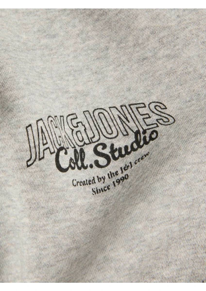 Resim Jack & Jones Jjmakoto Sweat Zip Hood Erkek Sweat 12278607