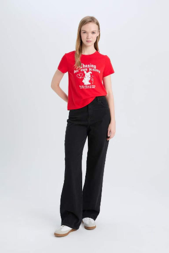Resim Defacto Kadın Kısa Kol T-shirt E0631AXRD256