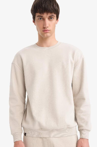 Resim Defacto Erkek  Sweat E1519AX/BG766
