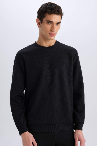 Resim Defacto Erkek  Sweat D7231AX/BK81