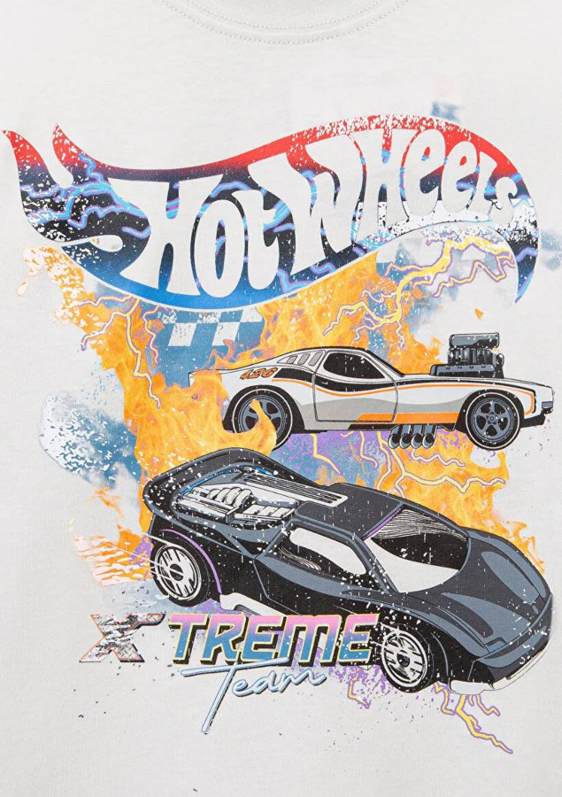 Resim Mavi Hot Wheels Baskılı Erkek Çocuk T-Shirt M6610303-80618