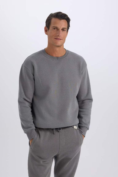 Resim Defacto Erkek  Sweat T5139AZ/GR438