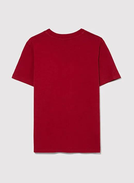 Resim Mavi Logo Baskılı Erkek Çocuk T-Shirt M6610030-70692