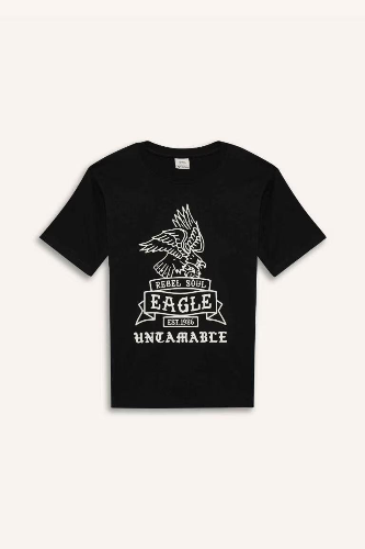 Resim Defacto Erkek Çocuk Kısa Kol T-shirt D9281A8BK81