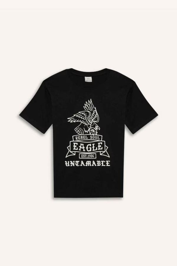 Resim Defacto Erkek Çocuk Kısa Kol T-shirt D9281A8BK81
