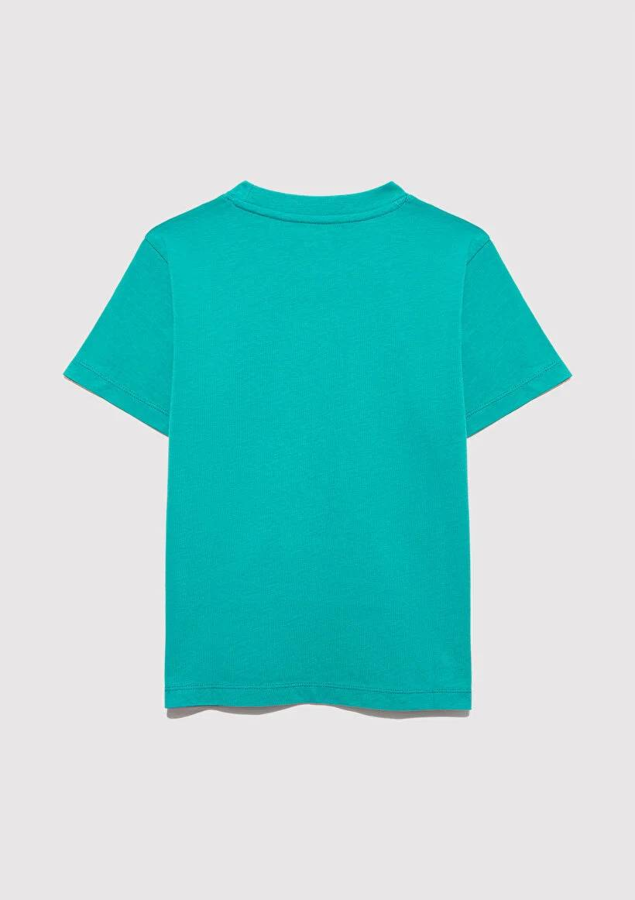 Resim Mavi Logo Baskılı Erkek Çocuk T-Shirt M6610030-71711