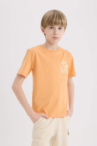 Resim Defacto Erkek Çocuk Kısa Kol T-shirt E0167A8OG306