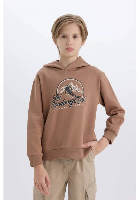 Resim Defacto Erkek Çocuk  Sweat D6219A8/BN554