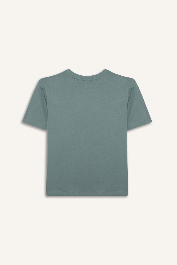 Resim Defacto Erkek Çocuk Kısa Kol T-shirt E0080A8BE801