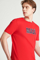 Resim Mavi Erkek T-shirt