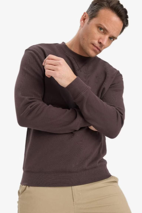 Resim Defacto Erkek  Sweat E8339AX/BN596