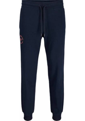 Resim Jack & Jones Jpstgordon Jjsımon Sweat Pants Naf Erkek Eşofman Alt 12268442
