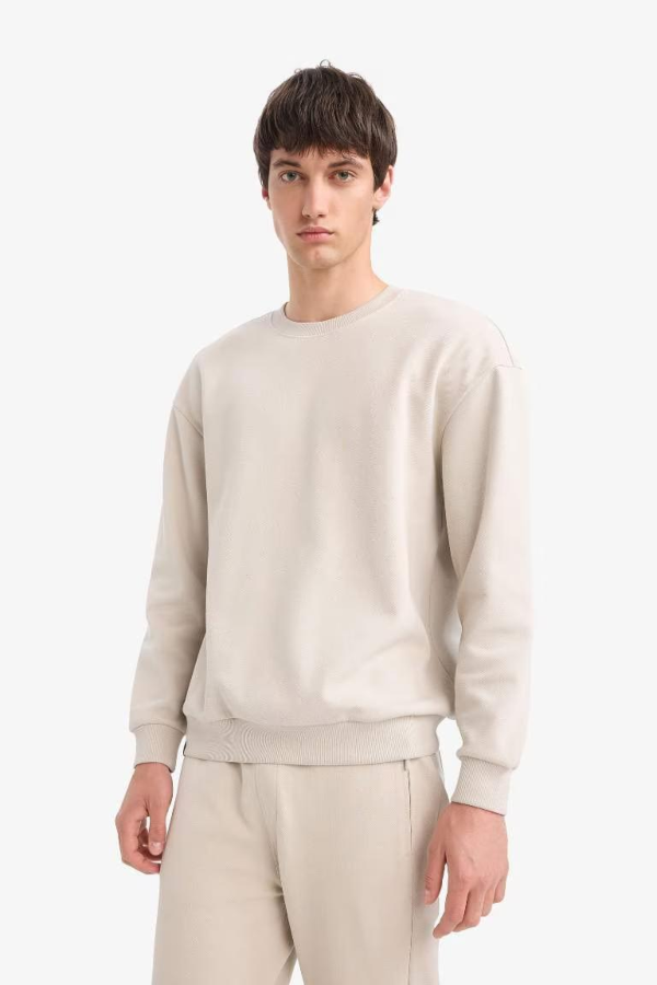 Resim Defacto Erkek  Sweat E1519AX/BG766