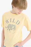 Resim Defacto Erkek Çocuk Kısa Kol T-shirt F0181A8/YL252