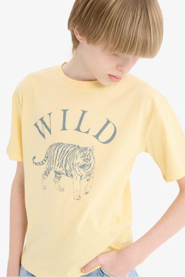 Resim Defacto Erkek Çocuk Kısa Kol T-shirt F0181A8/YL252
