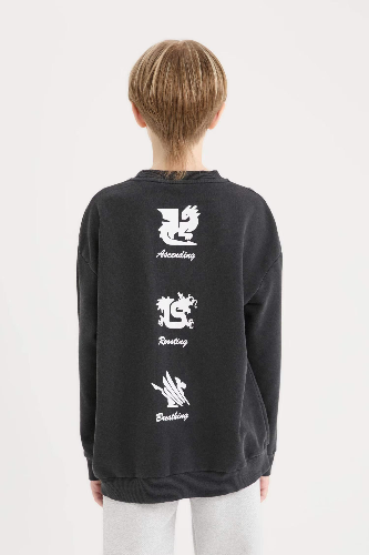 Resim Defacto Erkek Çocuk  Sweat D8494A8BK81