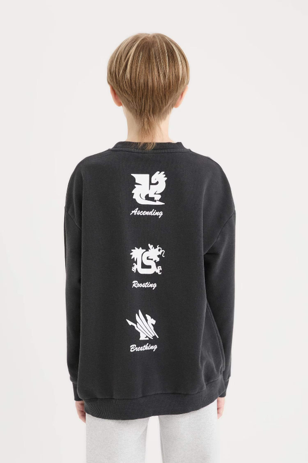 Resim Defacto Erkek Çocuk  Sweat D8494A8BK81
