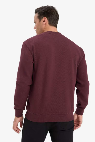 Resim Defacto Erkek  Sweat E8339AX/BR464