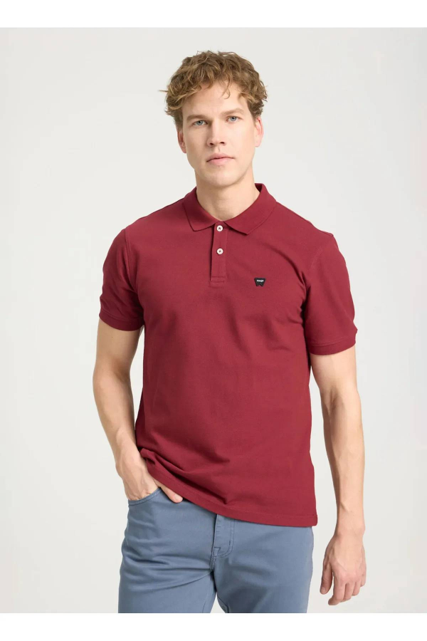 Resim Wrangler Erkek T-shirt