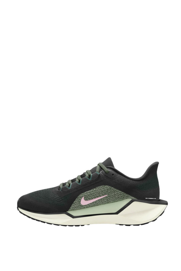 Resim Nike W Aır Zoom Pegasus 41 Kadın Spor Ayakkabı FD2723-009