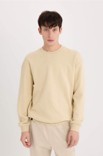 Resim Defacto Erkek  Sweat E1519AX/BG155