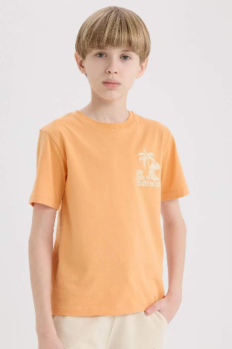 Resim Defacto Erkek Çocuk Kısa Kol T-shirt E0167A8OG306