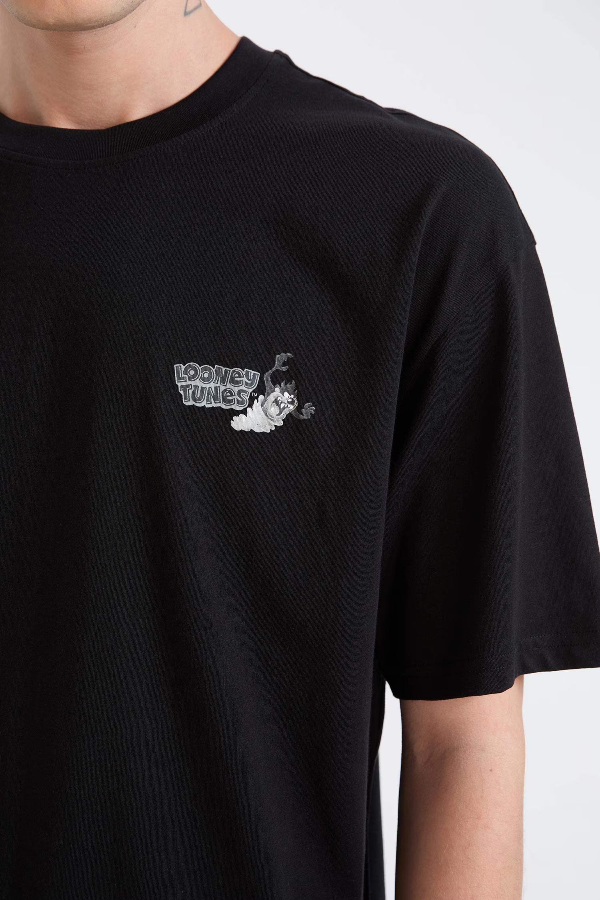 Resim Defacto Erkek T-shirt