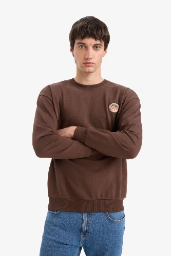 Resim Defacto Erkek  Sweat E6433AX/BN539