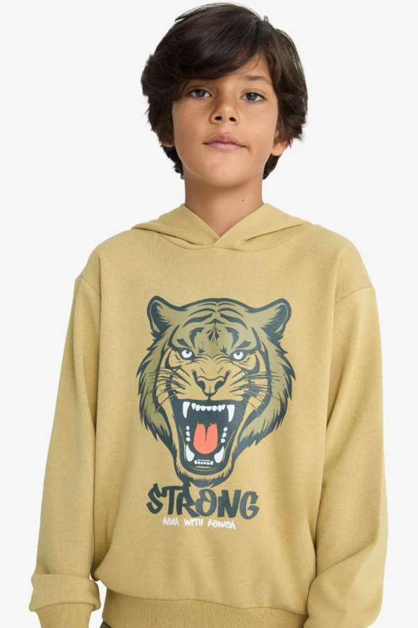 Resim Defacto Erkek Çocuk  Sweat F2859A8/KH258