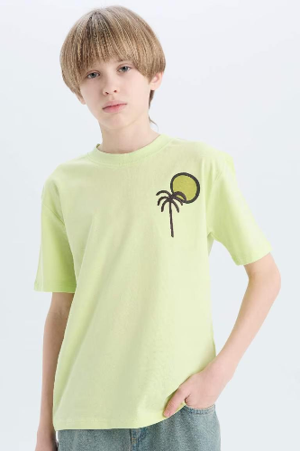 Resim Defacto Erkek Çocuk Kısa Kol T-shirt E0967A8GN404