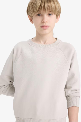 Resim Defacto Erkek Çocuk  Sweat E8415A8/GR94