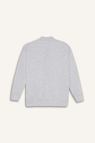 Resim Defacto Erkek Çocuk Sweat D8553A8GR400