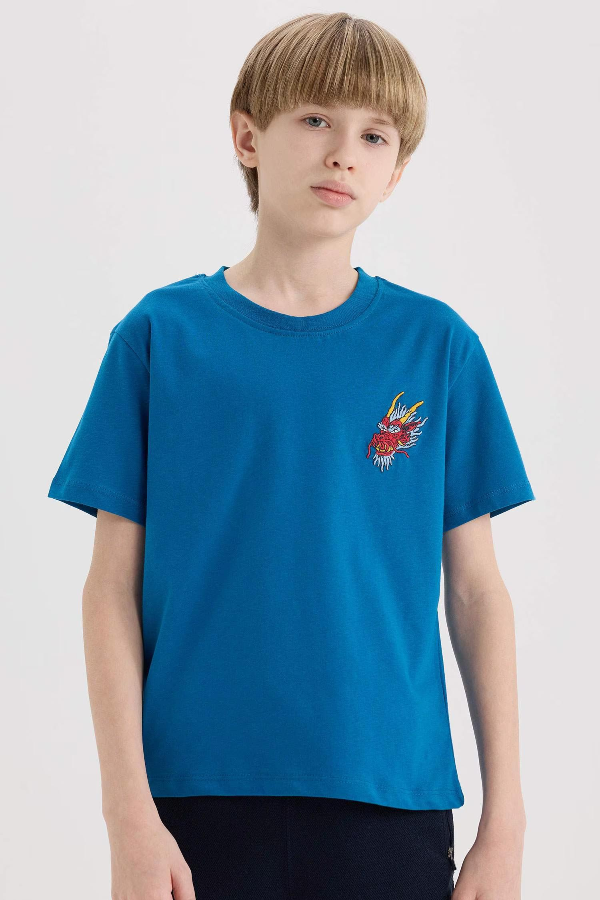 Resim Defacto Erkek Çocuk Kısa Kol T-shirt E0088A8BE183