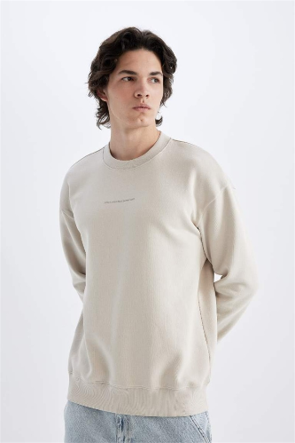 Resim Defacto Erkek  Sweat X8282AZ/BG766