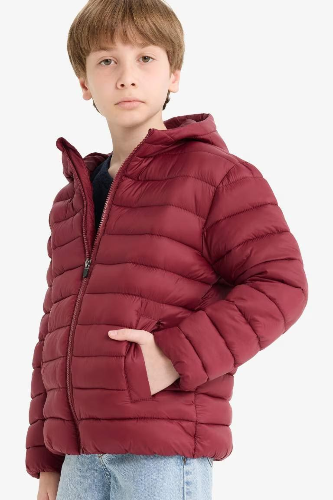 Resim Defacto Erkek Çocuk  Mont E8688A8/BR194