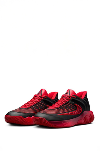 Resim Nike Giannis Immortality 4 Erkek Spor Ayakkabı Fq3680-004