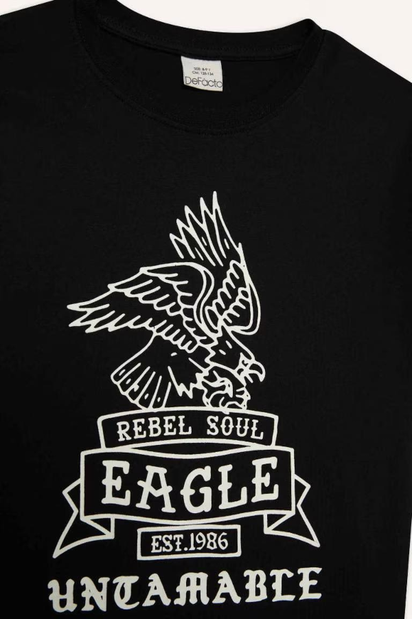 Resim Defacto Erkek Çocuk Kısa Kol T-shirt D9281A8BK81