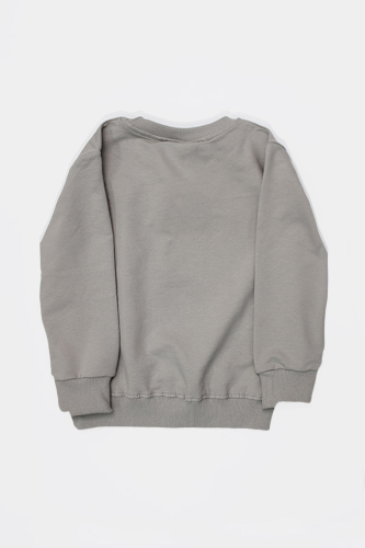 Resim Yenikoza Erkek Çocuk Sweat