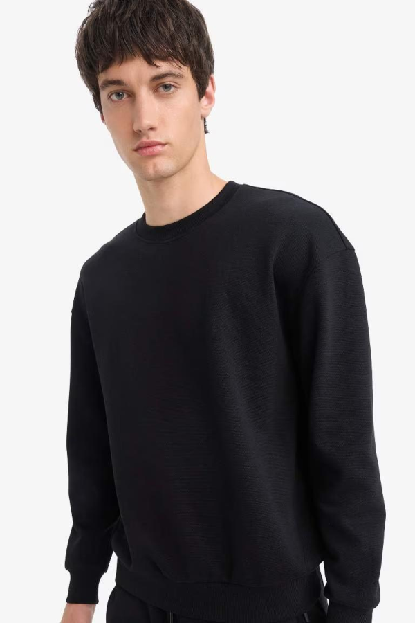 Resim Defacto Erkek  Sweat E1519AX/BK81