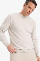 Resim Defacto Erkek  Sweat E8339AX/BG766