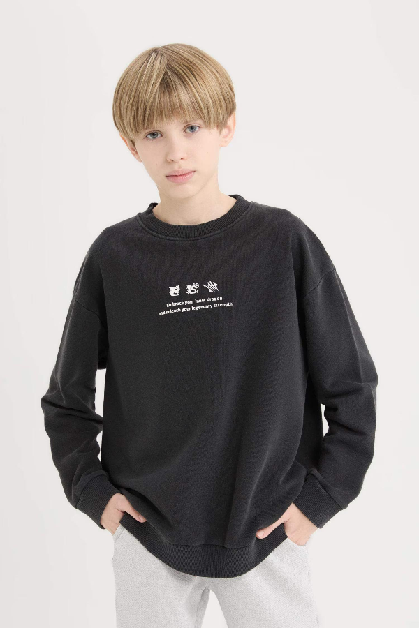 Resim Defacto Erkek Çocuk  Sweat D8494A8BK81