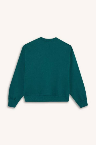 Resim Defacto Kız Çocuk  Sweat F1089A8/GN1116