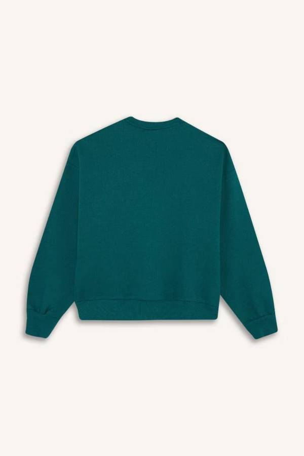Resim Defacto Kız Çocuk  Sweat F1089A8/GN1116