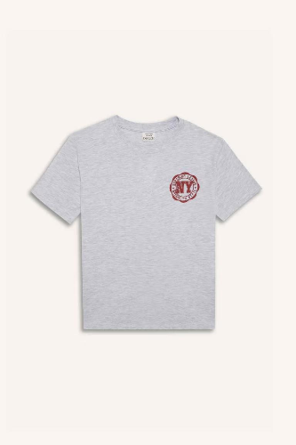 Resim Defacto Erkek Çocuk Kısa Kol T-shirt D9275A8GR400