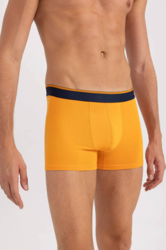 Resim Defacto Erkek Boxer
