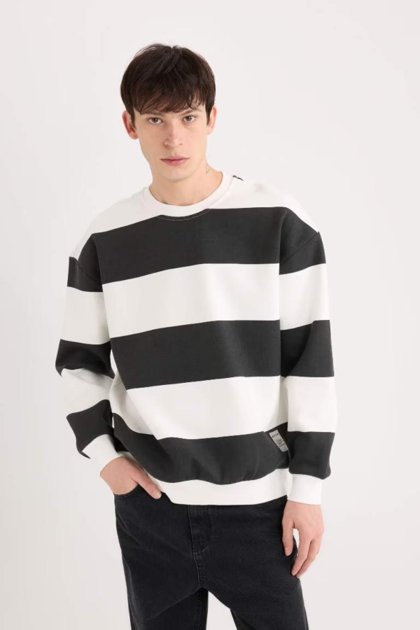 Resim Defacto Erkek  Sweat A9066AX/BK81